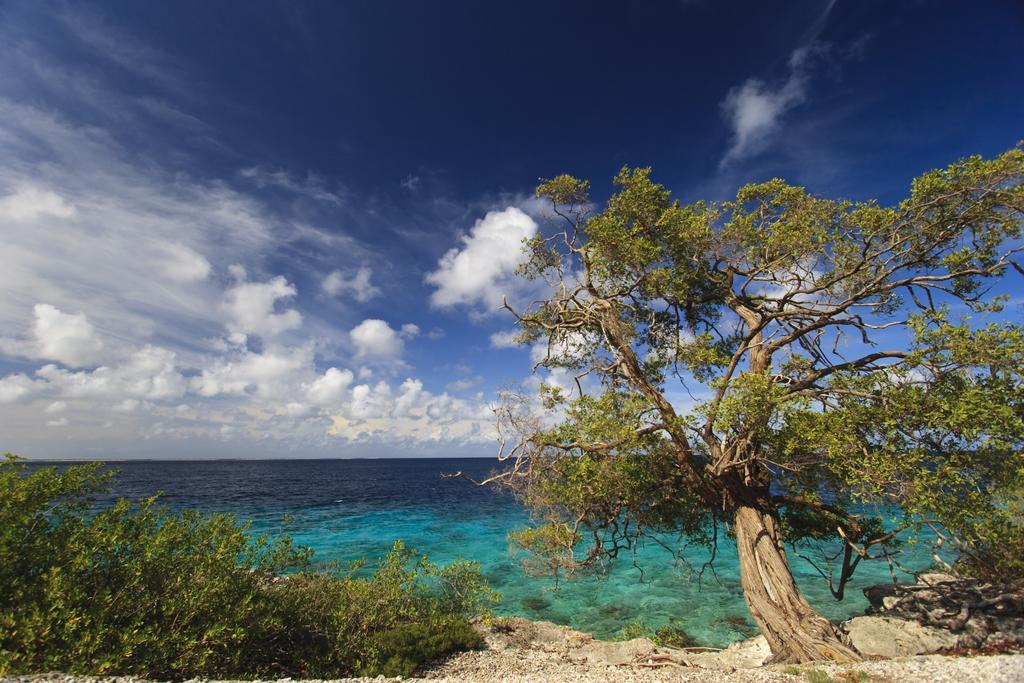 Aparthotel La Pura Vista Bonaire Esterno foto