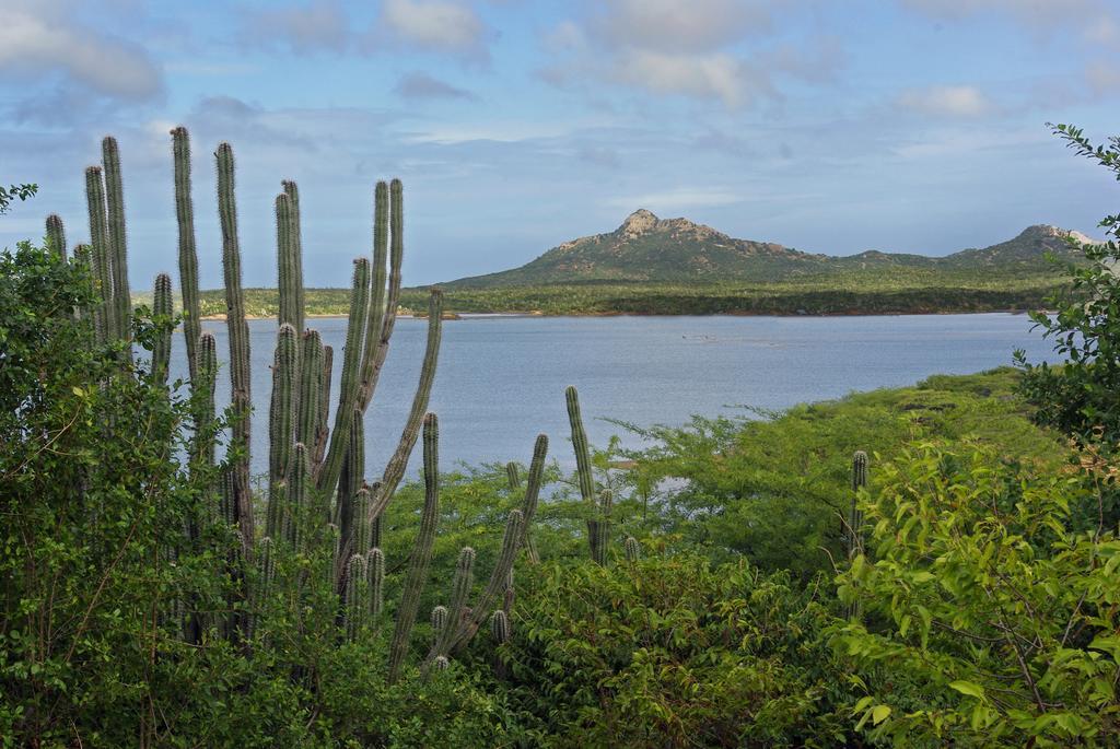 Aparthotel La Pura Vista Bonaire Esterno foto