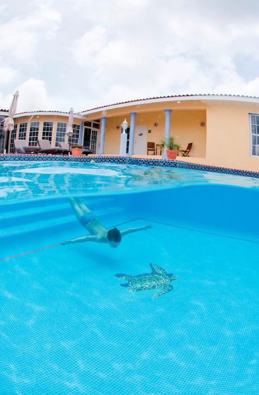 Aparthotel La Pura Vista Bonaire Esterno foto