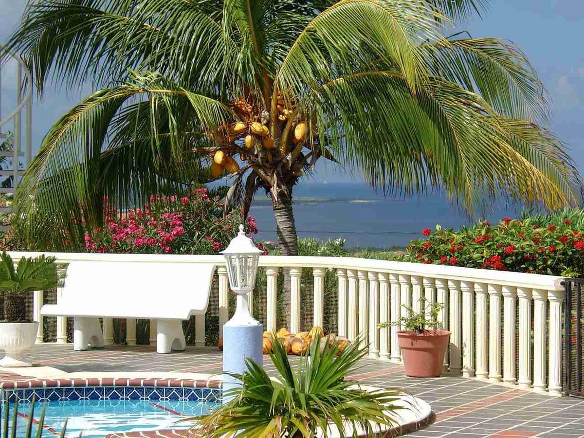 Aparthotel La Pura Vista Bonaire Esterno foto