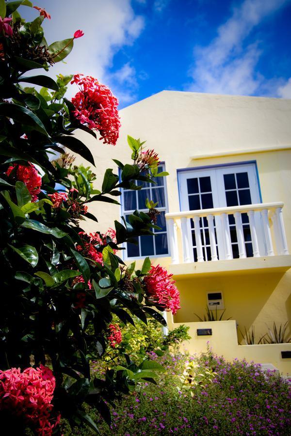 Aparthotel La Pura Vista Bonaire Esterno foto